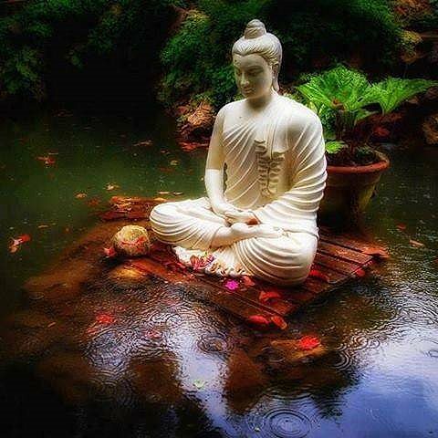 Der Buddha - Konzentration, Meditation